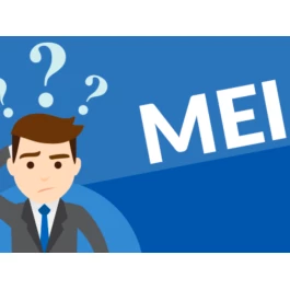 Acompanhamento Mensal do MEI